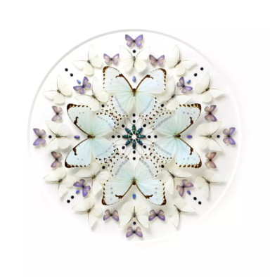 Butterfly kaleidoscope